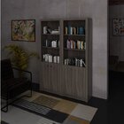 Kit 2 Armários Para Escritório Aberto 2 Portas E 3 Prateleira