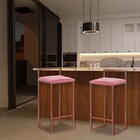 Kit 2 Banqueta Decorativa Selena Base Bronze Suede Rosa G41 -