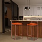 Kit 2 Banqueta Decorativa Selena Base Bronze Suede Telha G41