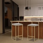 Kit 2 Banqueta Decorativa Selena Base Gold Veludo Cinza G41 -