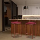 Kit 2 Banquetas Decorativa Jasmine Base Bronze Suede Bordô G4