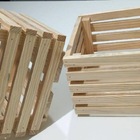 Kit 2 Cachepôs De Madeira C5