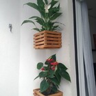 Kit 2 Cachepôs De Madeira C5