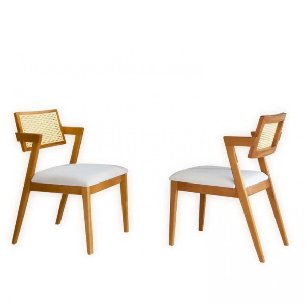 Kit 2 Cadeira Estofada Decorativa Garbo Encosto Em Tela Ratta