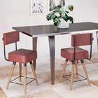 Kit 2 Cadeiras Barcelona Baixa 50cm - Salaone