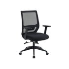 Kit 2 Cadeiras Escritório Diretor Ergonômica Nr17 Genebra Pre