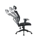 Kit 2 Cadeiras Escritório Presidente Ergonômica Nr17 Tela Mes