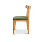 Kit 2 Cadeiras Sala De Jantar Aurora Verde/nature