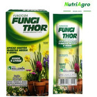 Kit 2 Caixas Veneno Fungithor Combate Fungos Mancha Negra Com