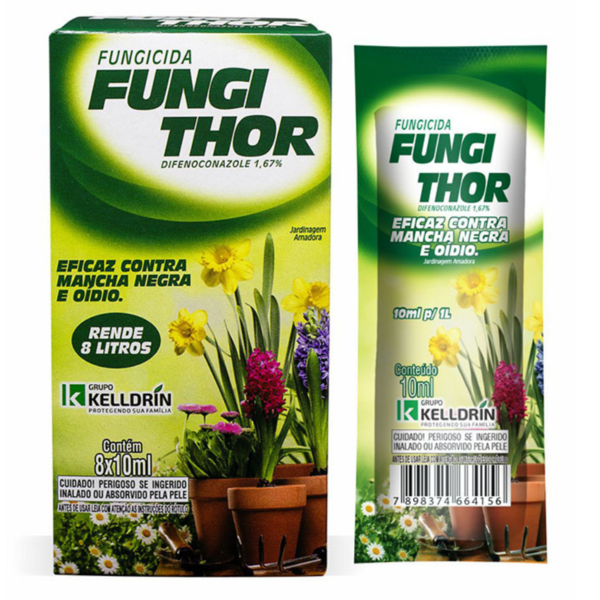 Kit 2 Caixas Veneno Fungithor Combate Fungos Mancha Negra Com