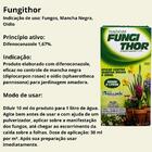 Kit 2 Caixas Veneno Fungithor Combate Fungos Mancha Negra Com