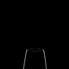 Kit 2 Copos Para Vinho Multiuso Degustazione Cristal Riedel