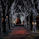 Kit 2 Cordão 100 Led Fixo Branco Frio Fio Transparente 127v