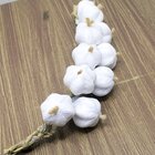 Kit 2 Decoração Trança De Alhos Artificial Artesanal De 32cm