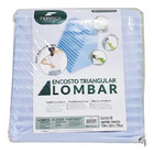Kit 2 Encostos Anatômico Lombar Suave Conforto + Capa