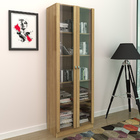 Kit 2 Estantes Escritório 2 Portas De Vidro 4 Prateleiras Can