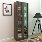 Kit 2 Estantes Escritório 2 Portas De Vidro 4 Prateleiras Can