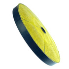 Kit 2 Filtro Carvão Depurador Electrolux De80 De60 E251070