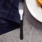 Kit 2 Garfo De Mesa Tramontina Leme Inox Cabo Preto