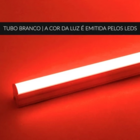 Kit 2 Lâmpadas Tubular Coloridas 20w De Led T8 120 Cm - Verme