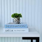 Kit 2 Livros Decorativo Porta Objetos E Vaso Prata Decor