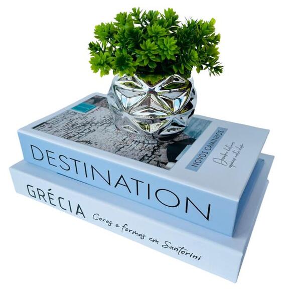 Kit 2 Livros Decorativo Porta Objetos E Vaso Prata Decor