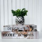 Kit 2 Livros Para Decoração E Vaso De Cerâmica Prateado