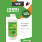 Kit 2 Mata Tiririca Em Gramado E Jardim Gramizap Concentrado