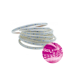 Kit 2 Metros Fita Led Taschibra 5w/m Ip67 Alta Proteção 220v