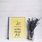 Kit 2 Molduras A3 Brancas Com Vidro Antirreflexo Para Quadro