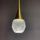 Kit 2 Pendentes Luminária Lilly Dourado Led Gota Cabo 4m