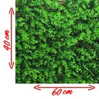 Kit 2 Placas Grama Muro Inglês Jardim Artificial 40x60cm