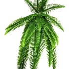 Kit 2 Planta Artificial Ornamental Samambaia Exótica 1,10m