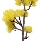 Kit 2 Plantas Artificiais Mamona Amarela Enfeite Jardim 70cm