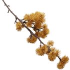 Kit 2 Plantas Artificiais Mamonas Decoração Jardim De 70cm