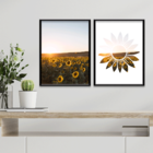 Kit 2 Plaquinhas Decorativa Adesivada Campo De Girassol