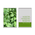 Kit 2 Plaquinhas Decorativa Adesivada Insistir, Persistir, Re