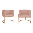 Kit 2 Poltrona Decorativa Base De Ferro Suede Munique  Rose/b