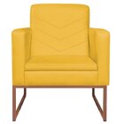 Kit 2 Poltronas Corano Base De Ferro Bali Amarelo/bronze