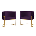 Kit 2 Poltronas Decorativa Sala De Estar Luana Base Gold Velu