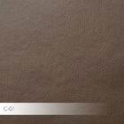 Kit 2 Poltronas Decorativas Pés Palito Champagne Dortmund Pu