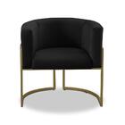 Kit 2 Poltronas Para Sala Decorativa Tamires Base Ferro Velud