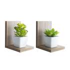 Kit 2 Prateleiras Buzios 15 X 12cm Freijó