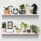 Kit 2 Prateleiras De Mdf 60x15 Suporte Invisível Decoração