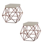 Kit 2 Puffs Decorativo Sala De Estar Base Bronze Trixie Suede