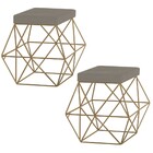 Kit 2 Puffs Decorativo Sala De Estar Base Gold Trixie Veludo