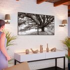 Kit 2 Quadro Tela Decorativa Com Moldura Arvore - 70x70cm Pre