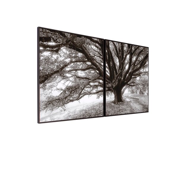 Kit 2 Quadro Tela Decorativa Com Moldura Arvore - 70x70cm Pre