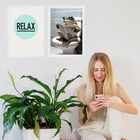 Kit 2 Quadros Banheiro Perereca Relax 45x34cm - Com Vidro Mol