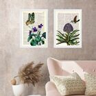 Kit 2 Quadros Beija-flor E Borboleta Vintage 24x18cm Moldura: